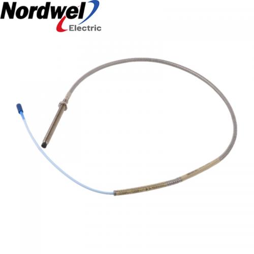 Bently Nevada 330104-00-11-10-01-00